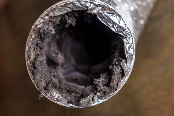 Best Air Duct Mold Removal  in Country Clu, FL