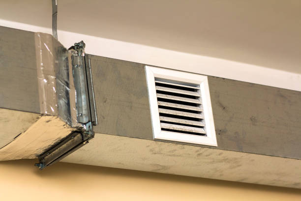 Air Duct Mold Removal in Country Clu, FL